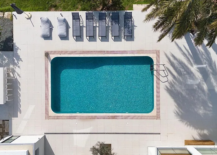 Luxury Oasis